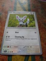 POKEMON  Minccino    H  TEF EN   136/162  HP70  2024