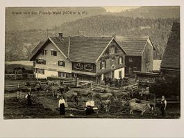 Alte Ansichtskarte: Gruss vom Pooalp-Wald, datiert 1913