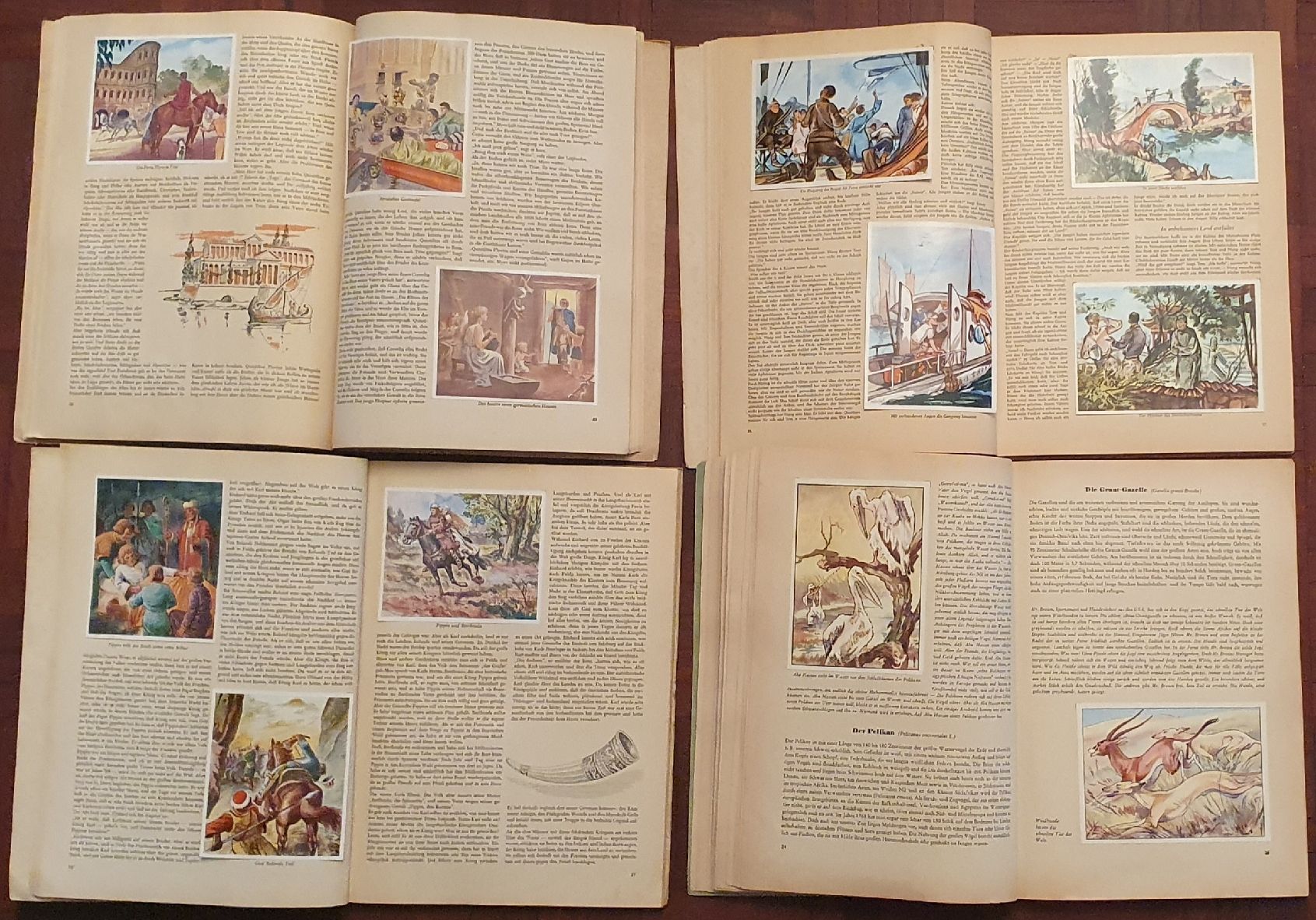 Carte collezionabili: 20 Zigarettenbilderalbum – Usato da Kreuzlingen venduto da Rschweiz1 8