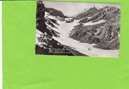 Säntis-Gipfel, Grosser Schnee-belebt