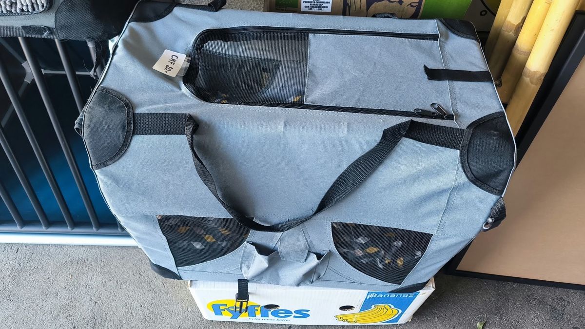 Cucce & Letti: Hundetransportbox – Usato da Seuzach venduto da laj_p6gj 1