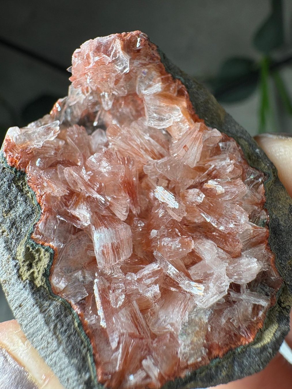 Pietre preziose: Pink Heulandit-Geode – Nuovo e nell'imballaggio originale da Neuheim venduto da m.hald 5
