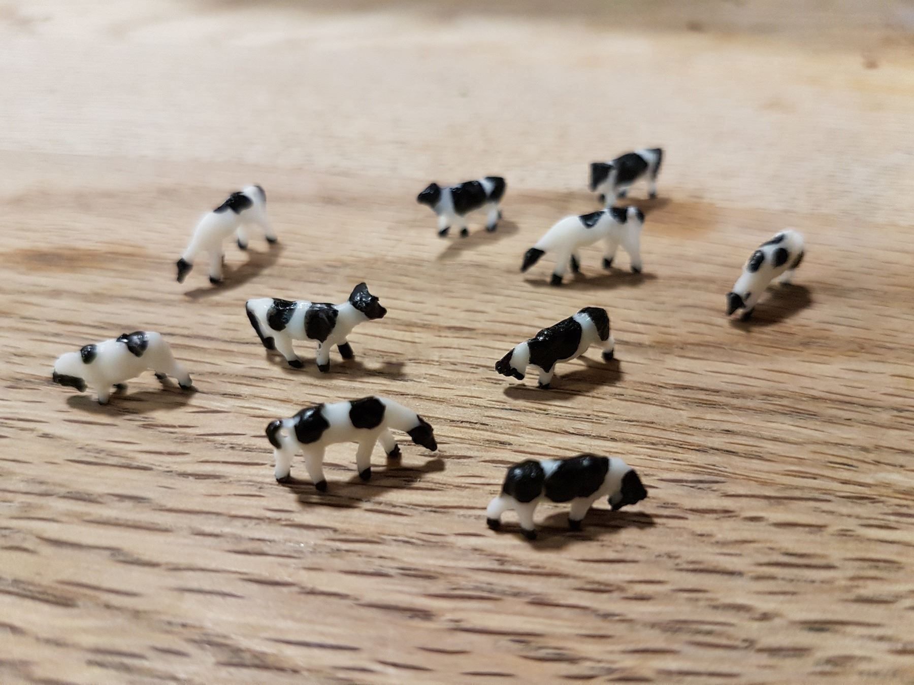 Kit di modellismo & Modellini statici: Lot de 10 jolies vaches – Nuovo e nell'imballaggio originale da Saxon venduto da Sebdem 1