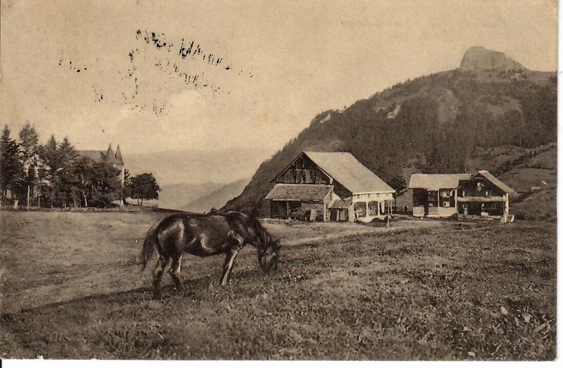 Cartoline postali: Oberberg ob Schwyz  1922 – Usato da Hochdorf venduto da Ziegel-16
