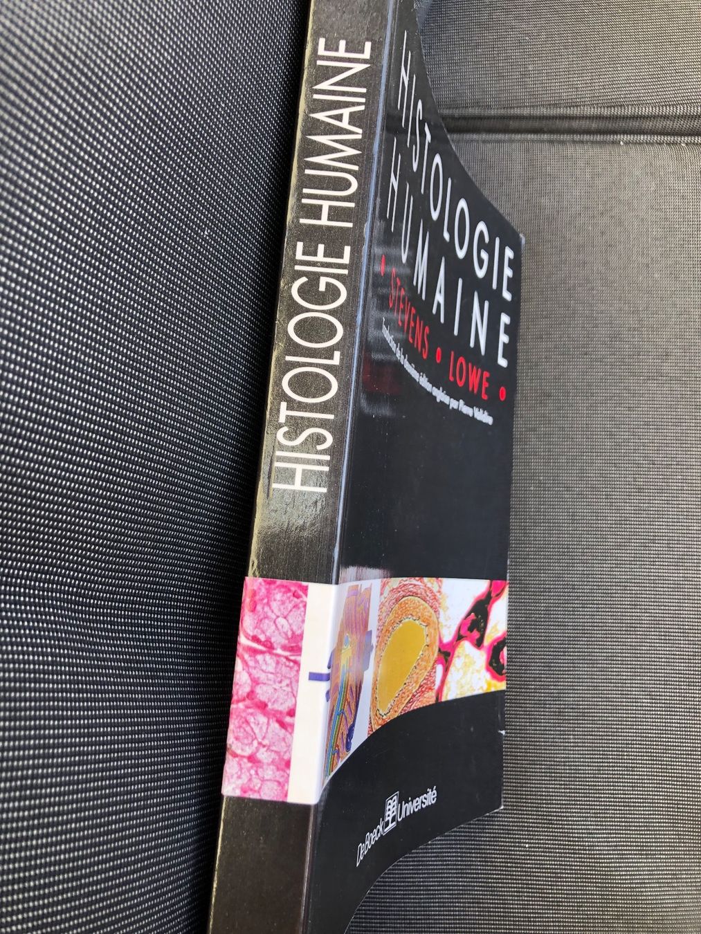 Bücher: Histologie Humaine Stevens / Lowe – Gebraucht aus Bernex von joe_6dn9 2