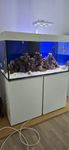 Saltwater Aquarium with Cabinet and Accessories