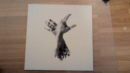 The Nothing - The Last Dinosaur - Vinyl Record Schallplatte
