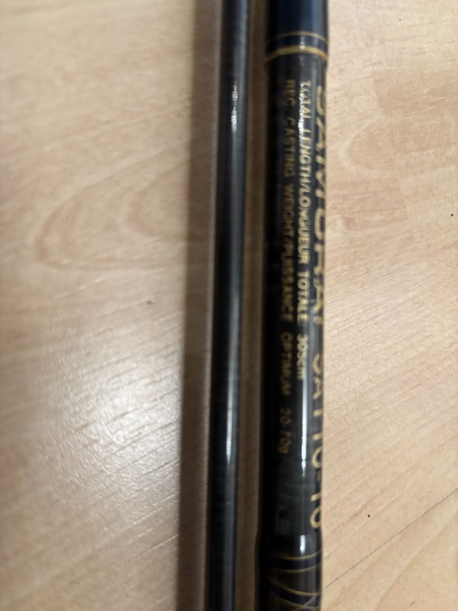 Daiwa Angelruten: Angelrute mit Rolle  – Gebraucht aus Alosen von Tischhuser 2