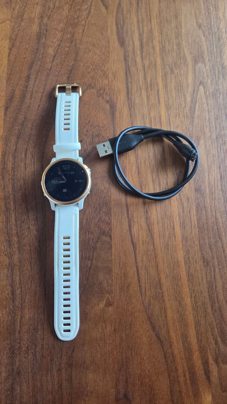 Garmin Smartwatch: Garmin Fenix 6 – Usato da Seengen venduto da JolNied