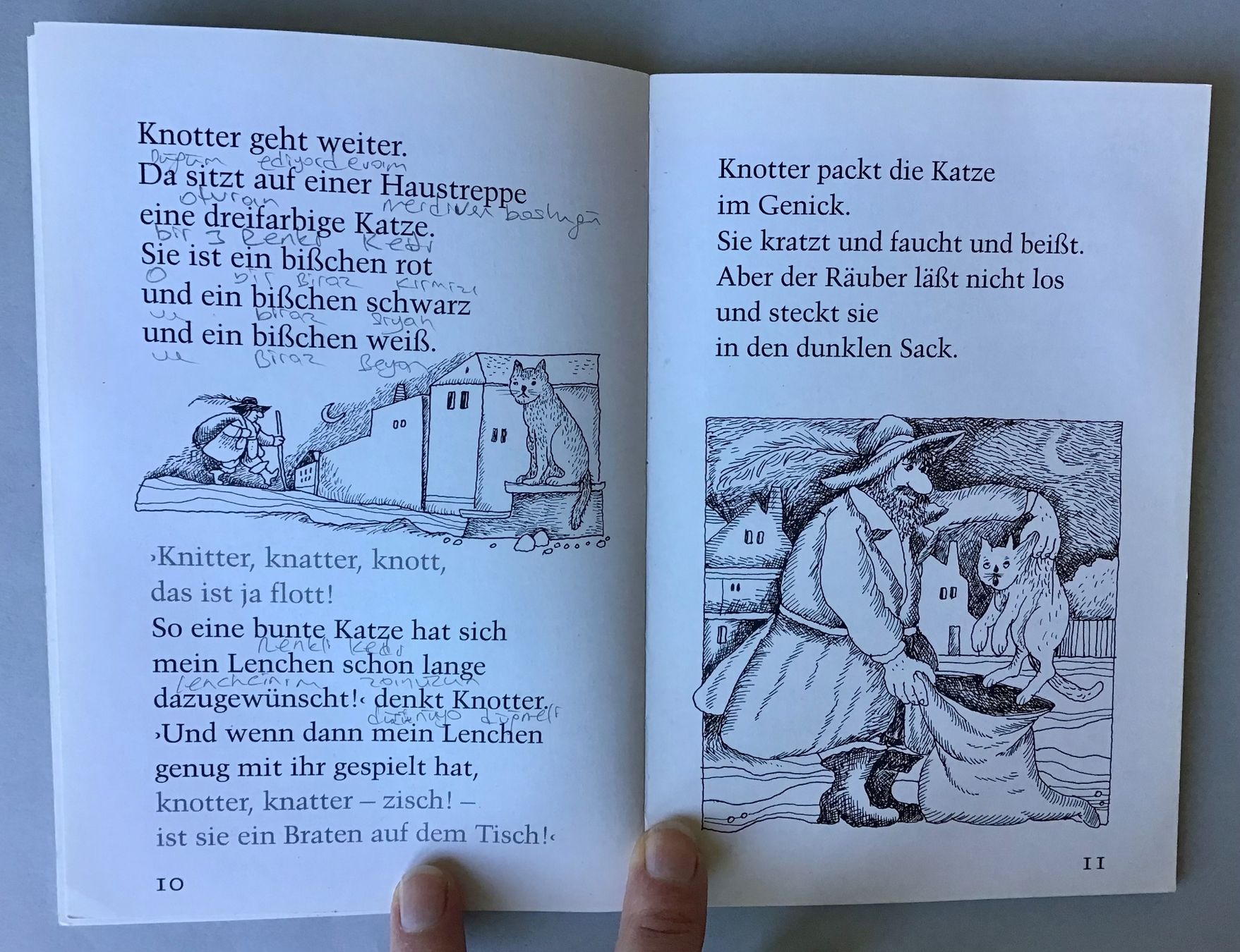 Libri: Lesebär Buch: Der Buchstabenräuber – Usato da Bubendorf venduto da Alpenheidi 4