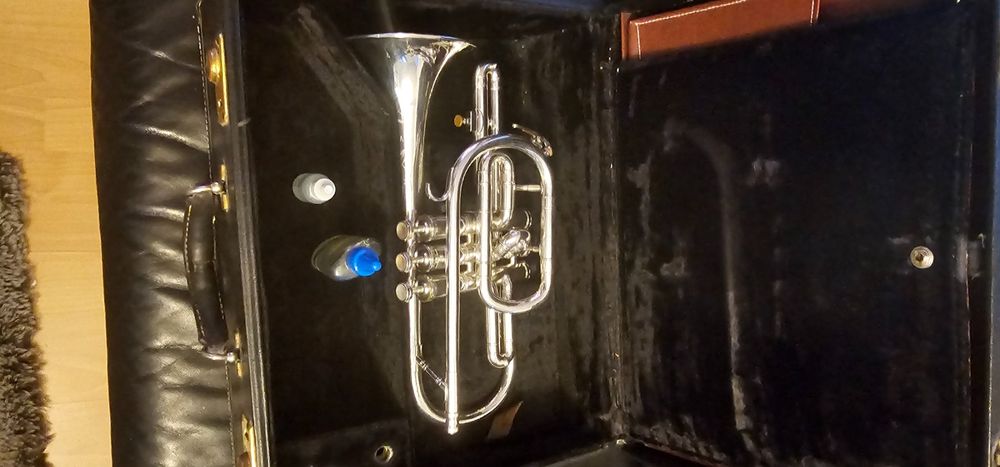 Kornett Williams | Kaufen auf Ricardo