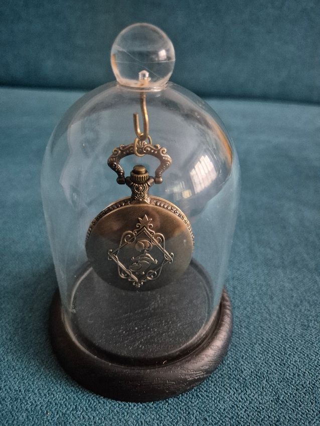 Sonstiges Uhren Zubehör: Plexiglas Haube mit Taschenuhr – Gebraucht aus Embrach von wernici 1