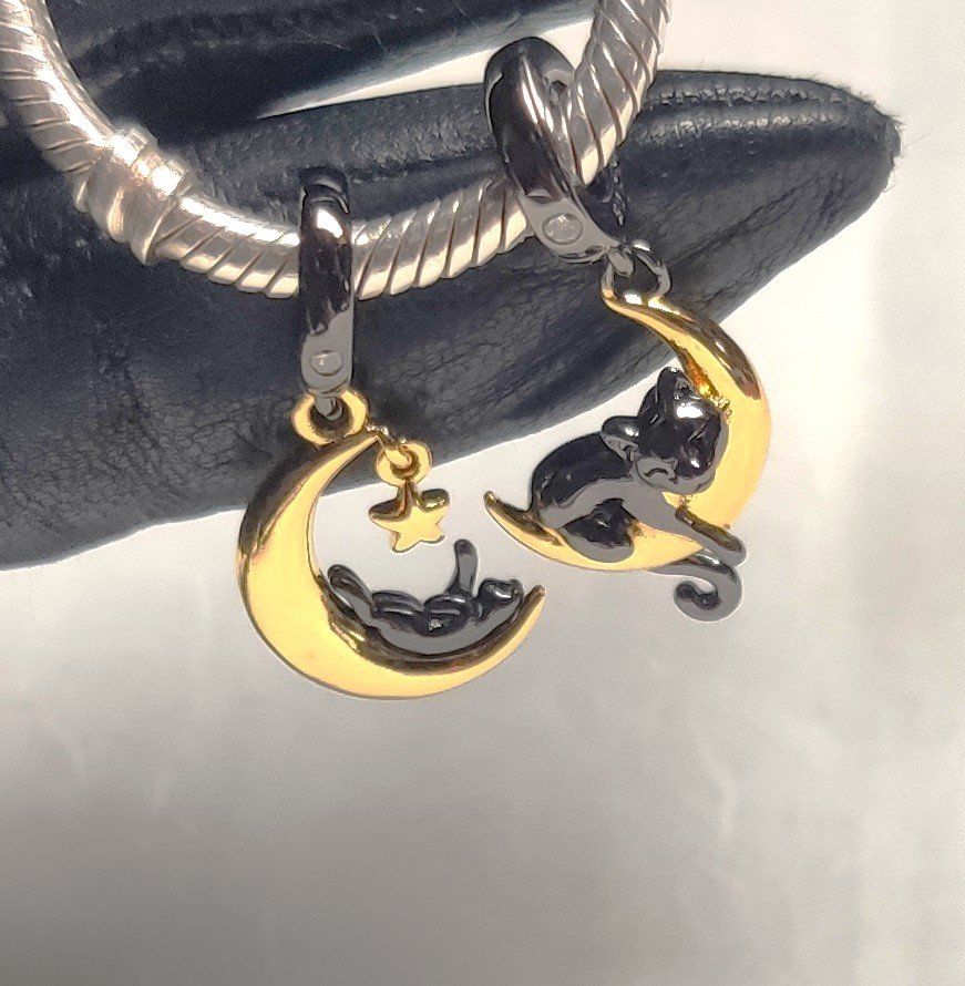 Ciondoli: Charms passend zum Armband. – Nuovo e nell'imballaggio originale da Lamboing venduto da Qtrica 8