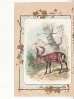 Kitschkarte Hirsch ca. 1910
