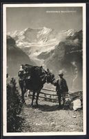 Grindelwald, Beförderung der Faulhorn-P