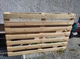 Palette neuve