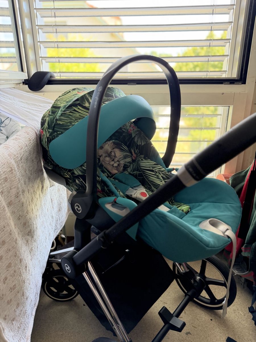 Cybex Kinderwagen: Cybex Priam  – Gebraucht aus Unterentfelden von van_m8g7 6