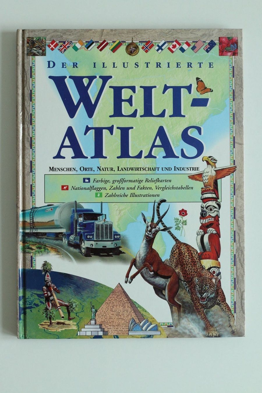 Libri: Der illustrierte Weltatlas – Usato da Zürich venduto da bentalent711