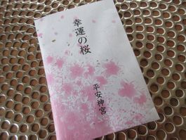 Japanese Cherry Blossom tea/Tee/Heian Shrine from Kyoto!