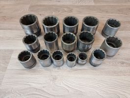Vielzahn-Set