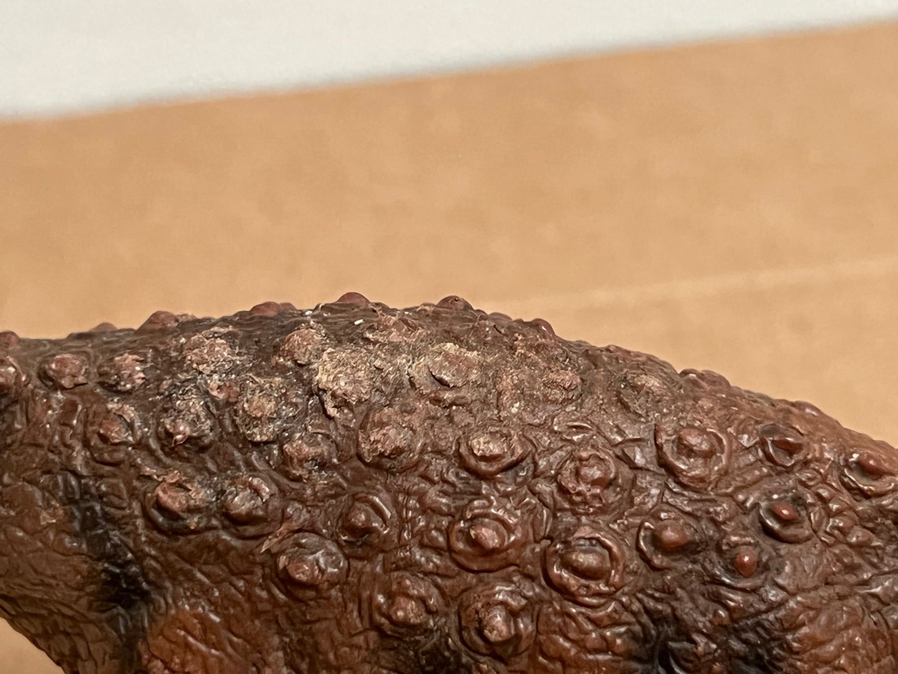 Schleich Statuette: Schleich Saltasaurus Dinosaurier Dino – Usato da Ennetbaden venduto da mapa05 3