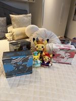 Box Allenatore Elite Pokémon/ Limited pelusche japanese!