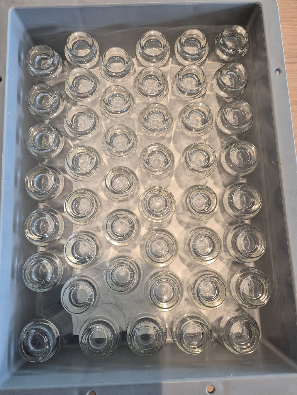 Bicchieri: Schnaps Gläschen 45 Stck. Glas transparent neuwertig – Nuovo (secondo la descrizione) da Luzern venduto da michschm7