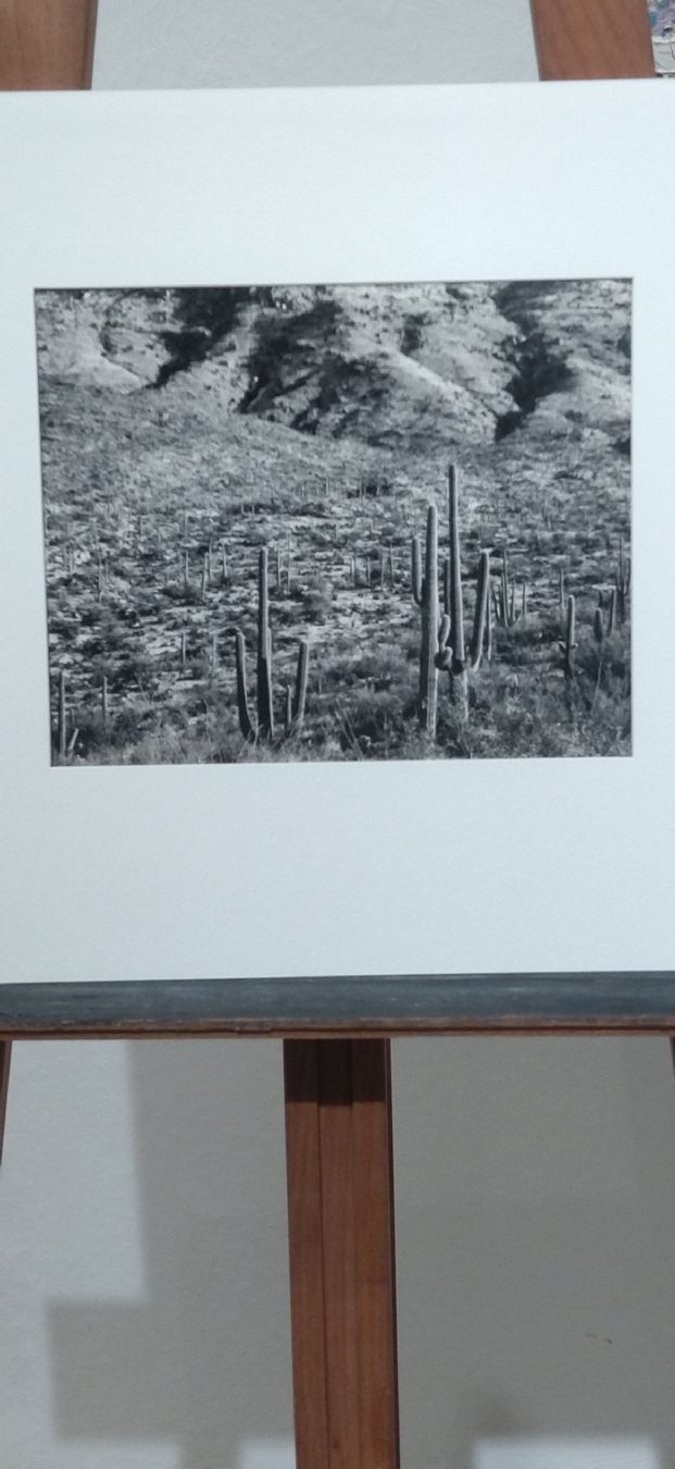 Libri: Portfolio Forest Davis Photographs, 1981 – Usato da Zürich venduto da Top-Deal-Schweiz 2