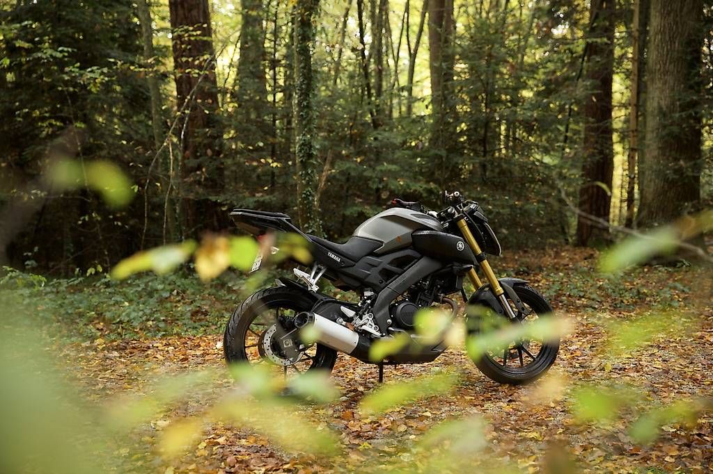Route: Yamaha Mt-125 ABS – D'occasion à Rodersdorf par eil_5d7n 1
