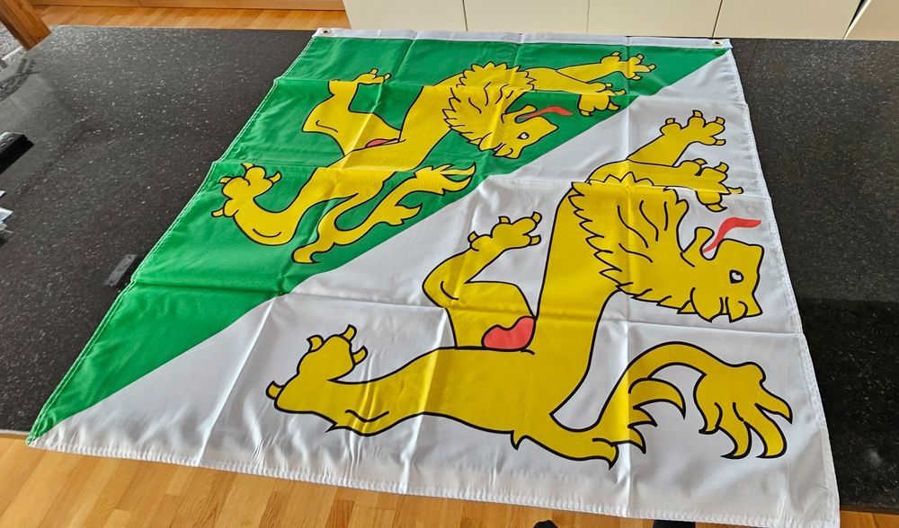 Fahnen: Thurgauer Kantonsflagge, Neu und Originalverpackt, 90x90cm – Neu und originalverpackt aus Kreuzlingen von UAE 4