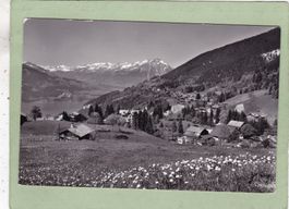 Waldegg Beatenberg Thunersee Wildhorn Gsür Niesenkette