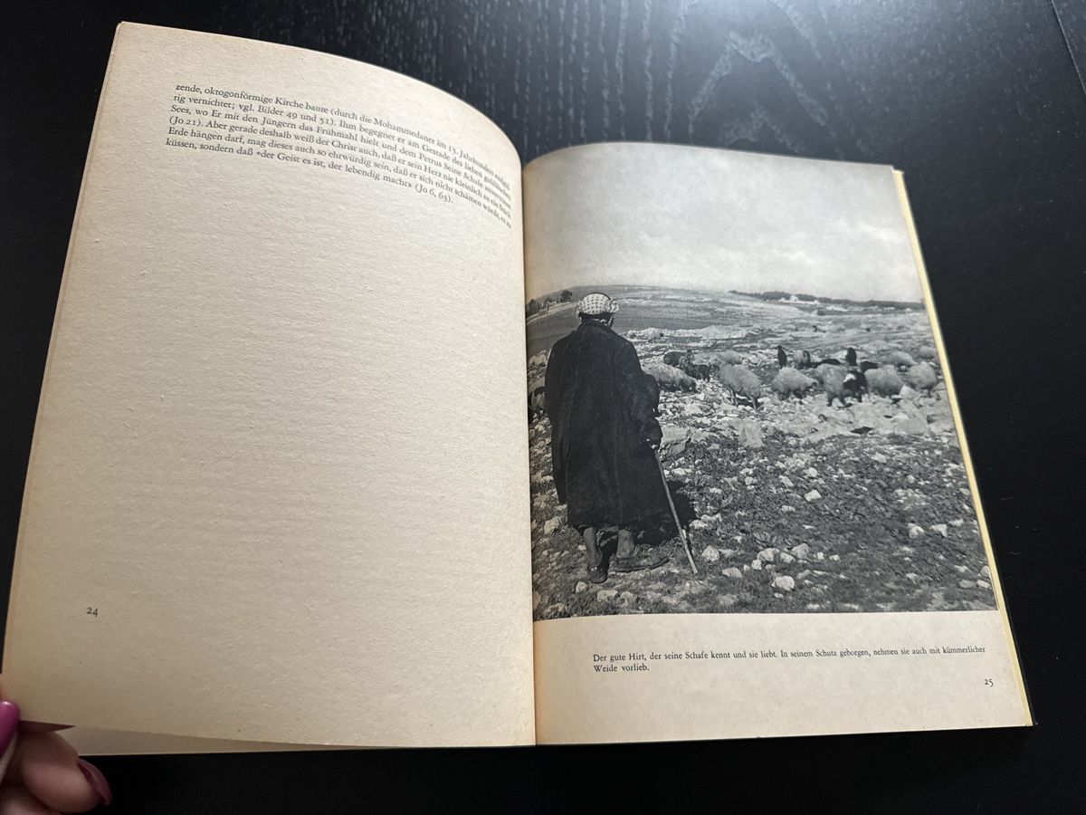 Libri: Auf den Spuren Jesu – Usato da Erstfeld venduto da Uhu1980 3