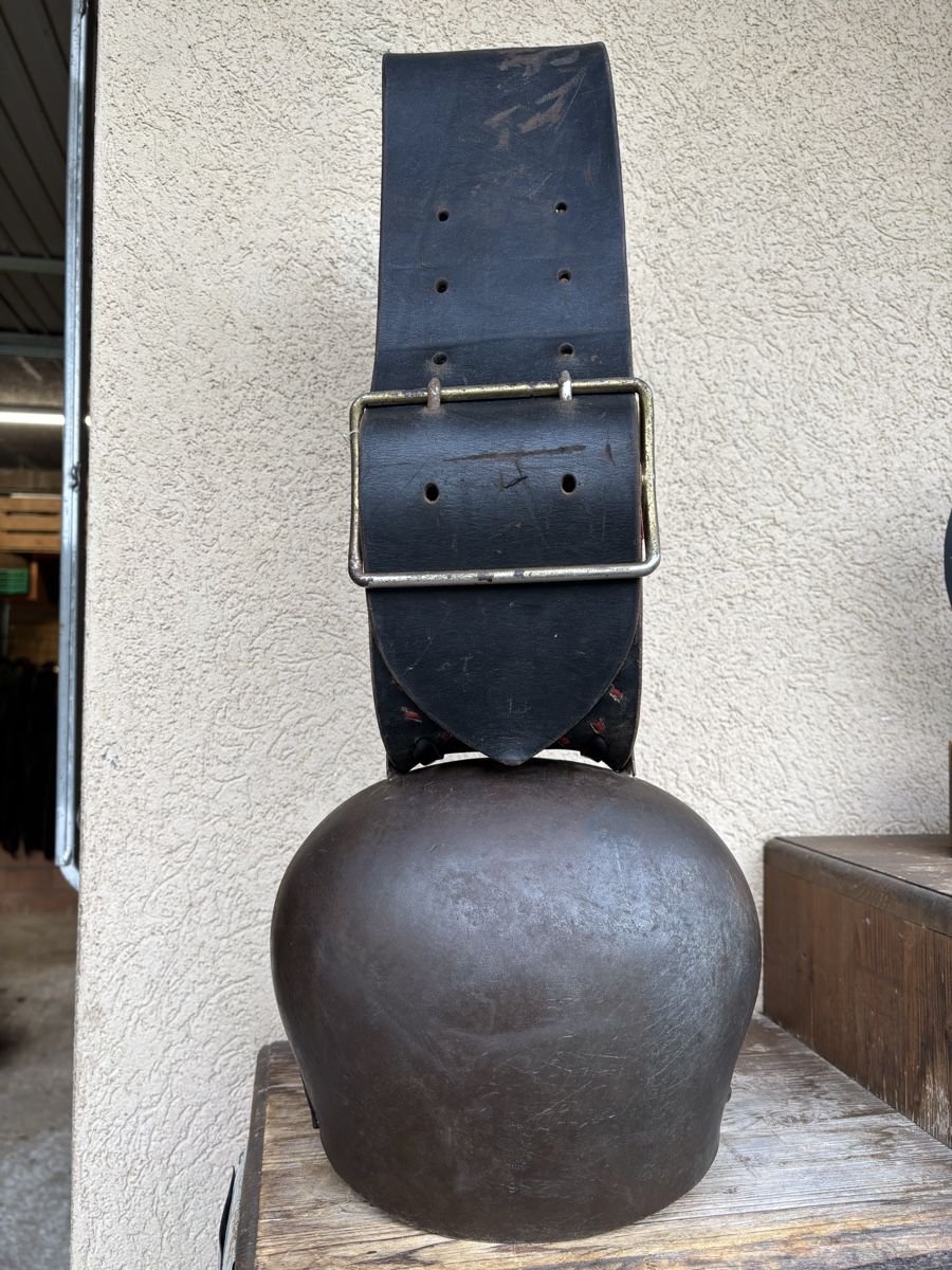 Campanacci mucche: Varonne NR 19 – Usato da Schangnau venduto da Roseggli82