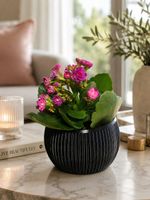 Vaso decorativo nero stampato in 3D – moderno ed elegante