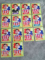 14 x Paninisticker 2026 / Paraguay