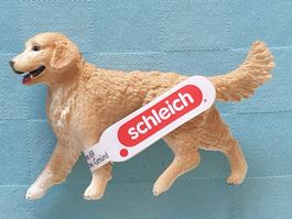 Golden Retriever Hund Haustier Tier Schleich