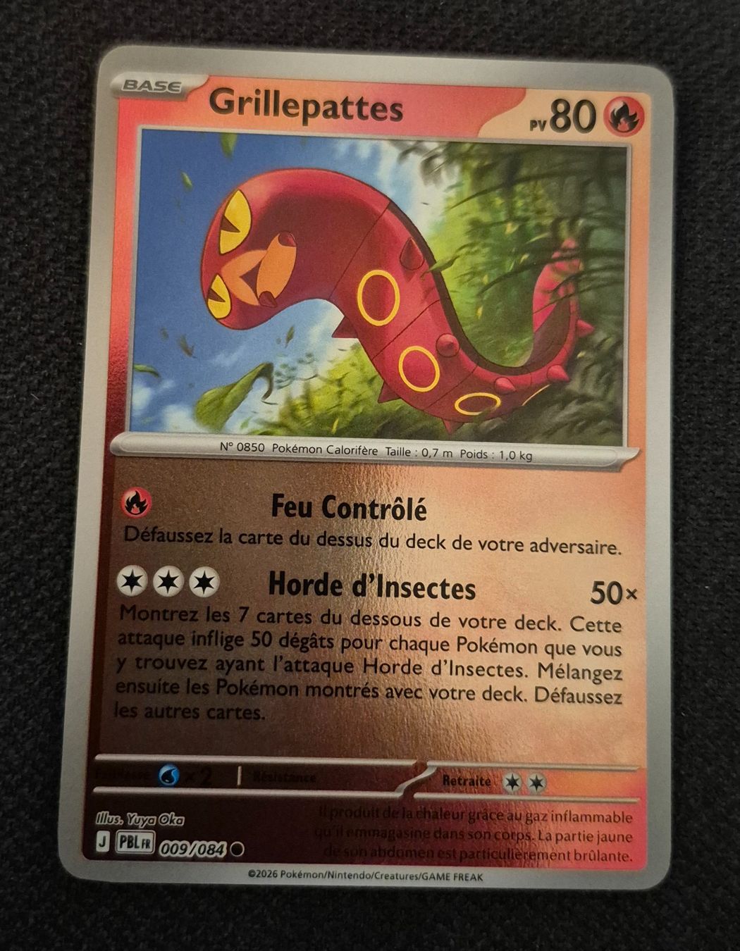 Pokémon Carte collezionabili: GRILLEPATTES 009/084 REVERSE POKEMON NUIT NOIRE – Usato da Grand-Lancy venduto da luc111