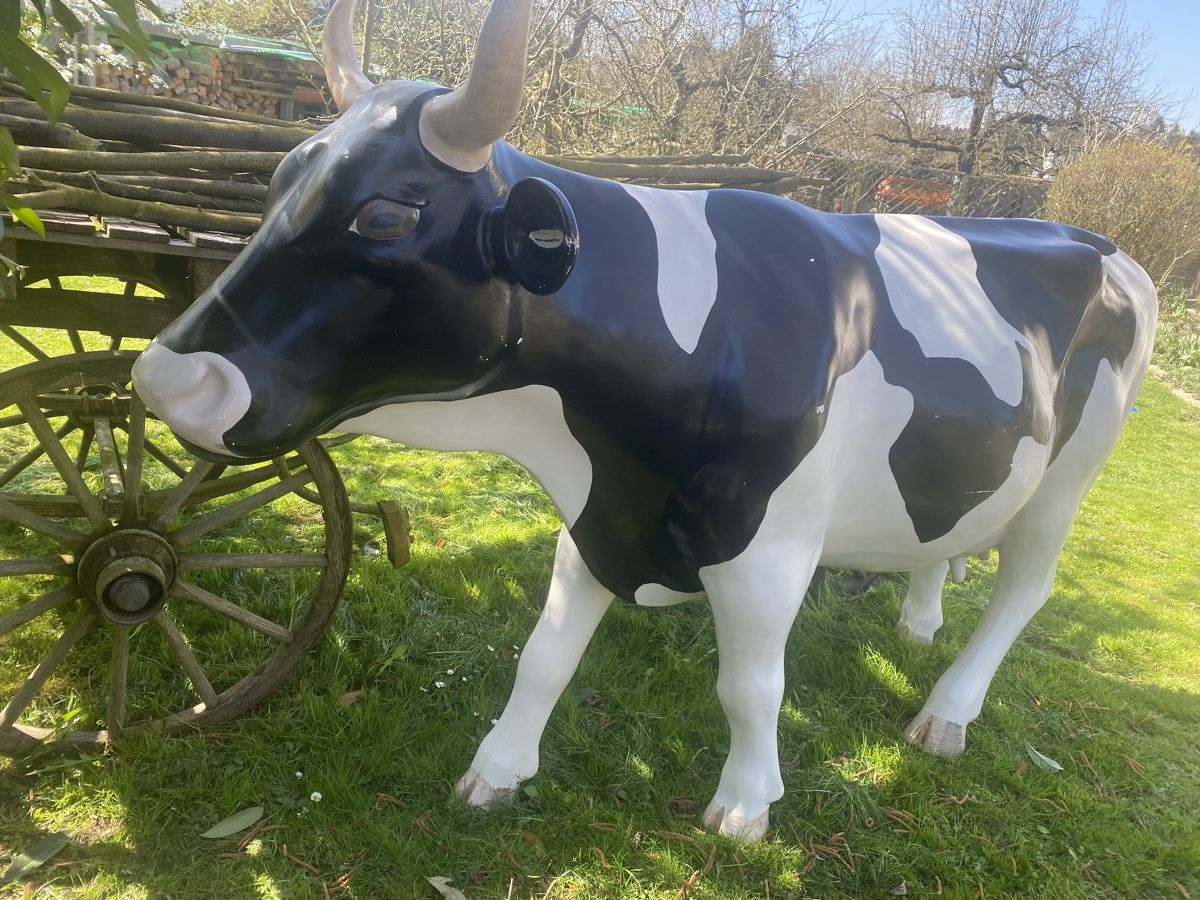 Tutte le decorazioni: Kuh lebensgross, Milchkuh Rind-679 – Usato da Recherswil venduto da paulchen09 7
