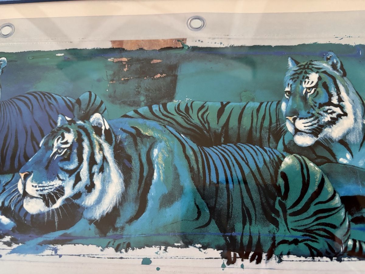 Poster & Bilder: schönes Rolf Knie Bild withe Tigers – Gebraucht aus Bern von cocacola123 2