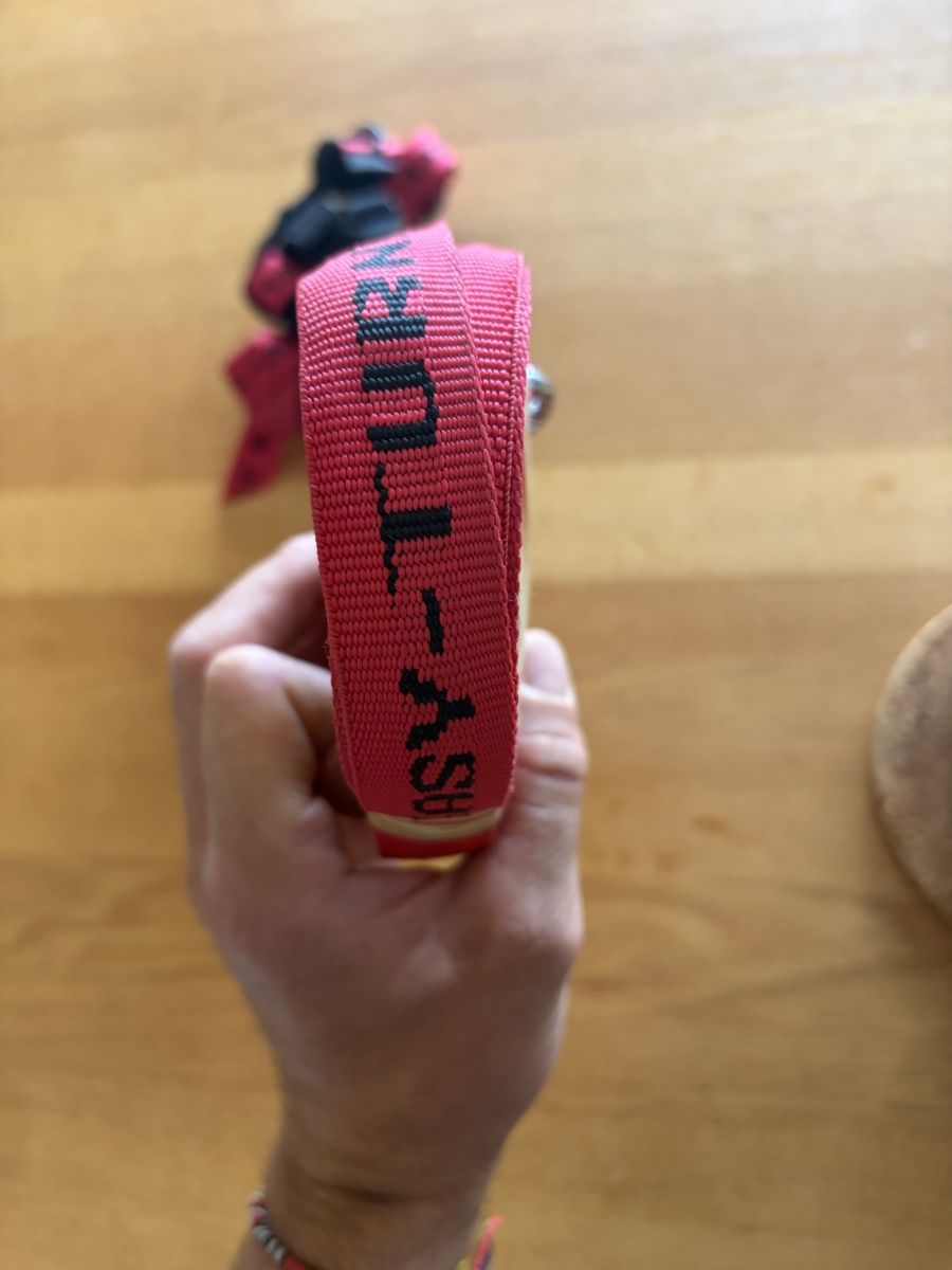 Skis: Harnais pour le ski – Gebraucht aus Pâquier-Montbarry von bouquetinfou 1