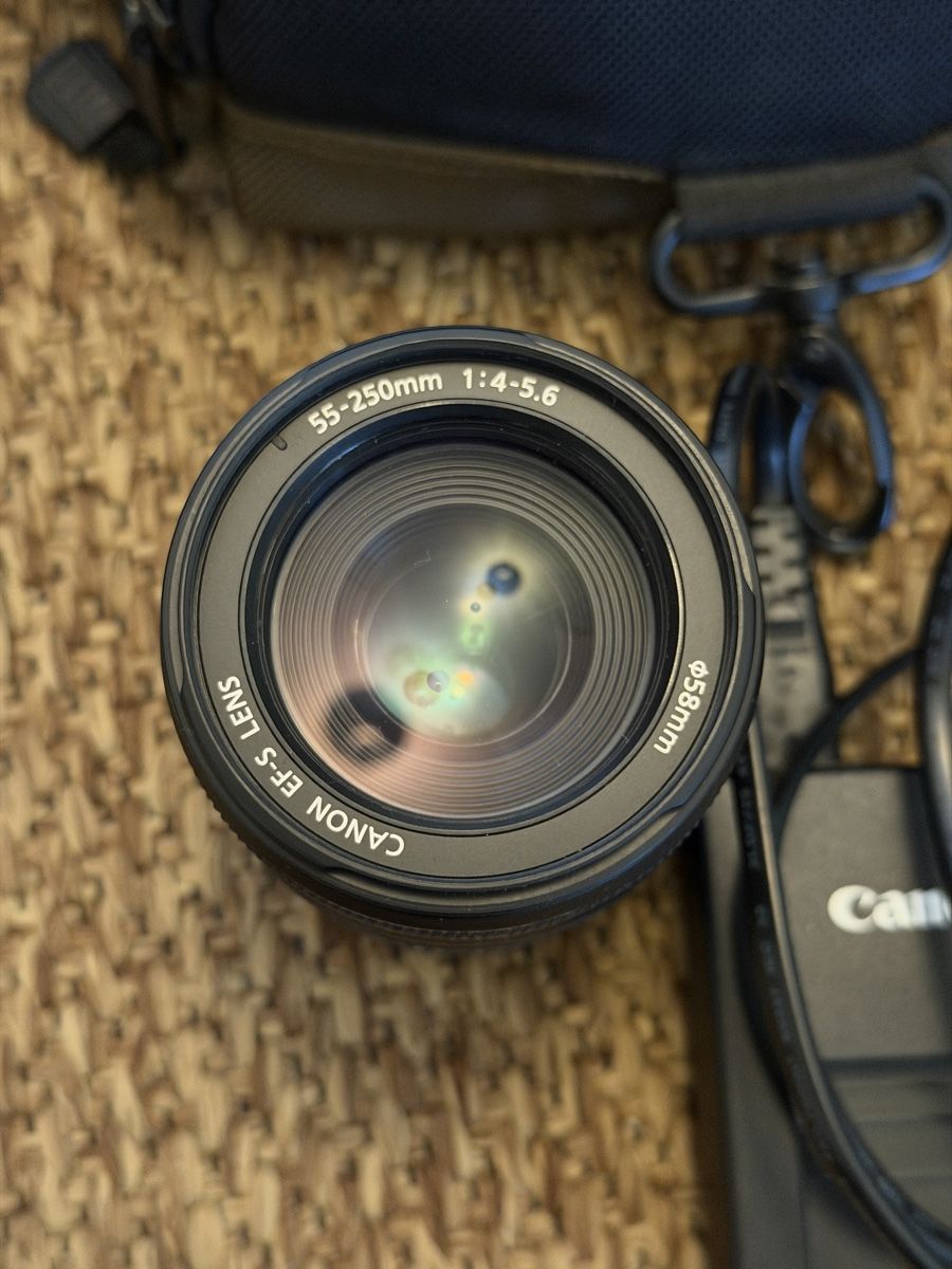 Canon Kamera: Canon EOS 500D – Gebraucht aus Zürich von devbetri 6