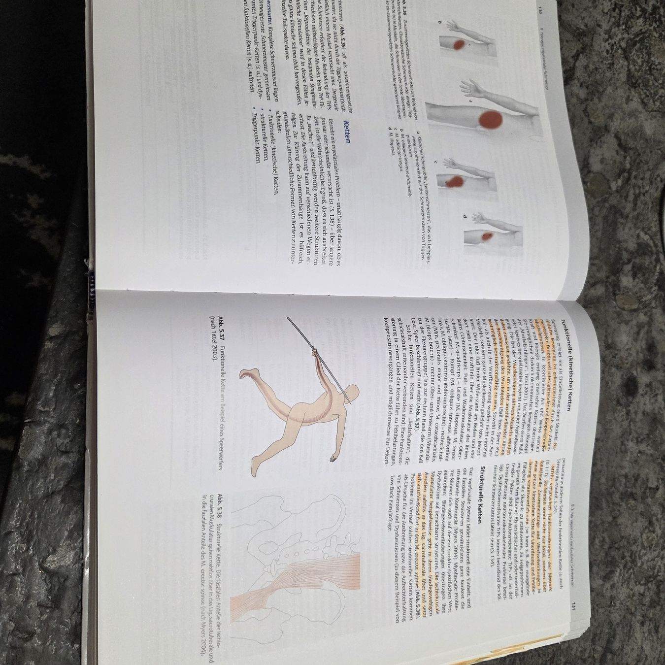 Libri: Buch Manuelle Triggerpumkt-Therapie – Usato da Meggen venduto da Ram_779z 1