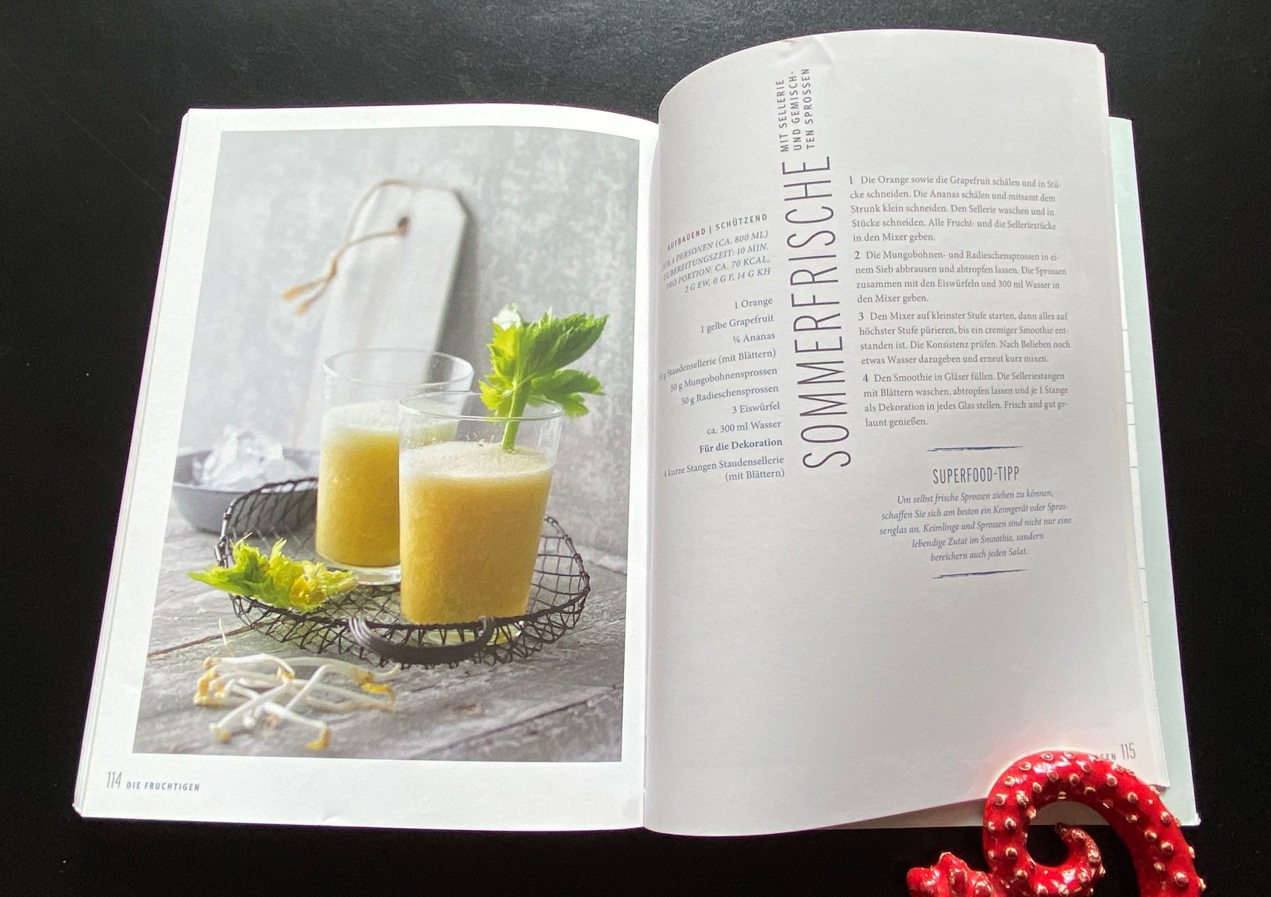 Bücher: SUPERFOOD SMOOTHIES / GU RATGEBER – Gebraucht aus Nussbaumen AG von schuba2000 5