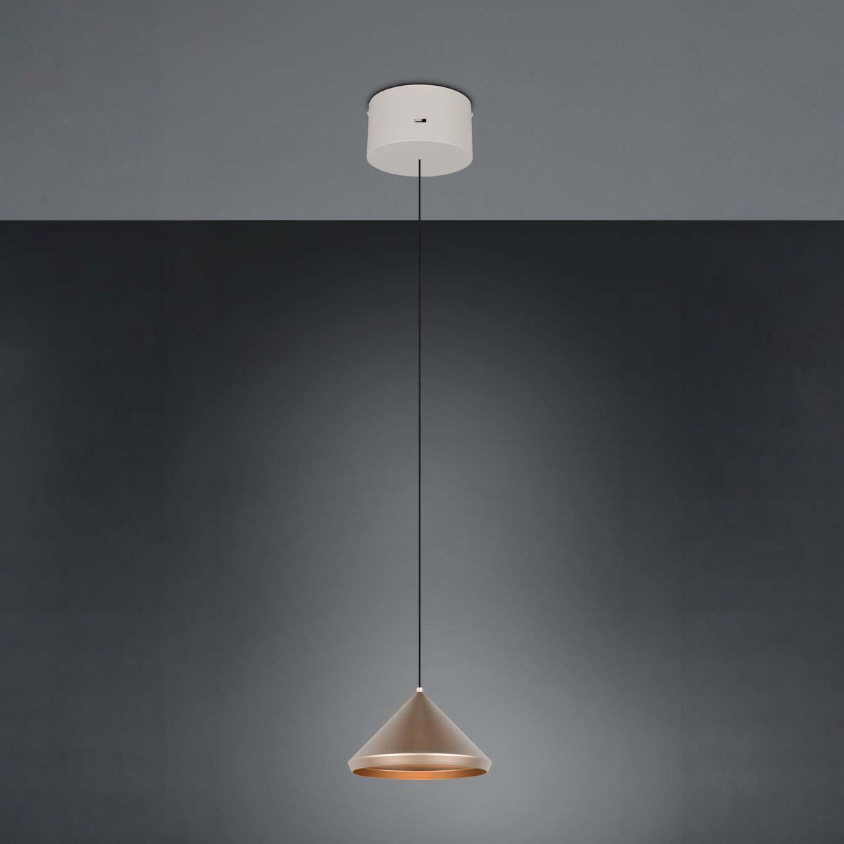 Lampadari & plafoniere: LED Pendelleuchte,  Coffee, CCT, 18 cm Ø – Nuovo (secondo la descrizione) da Kreuzlingen venduto da Smart-Light