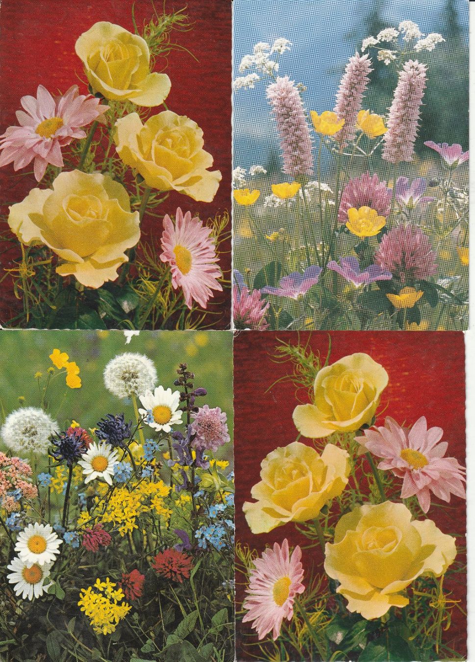 Ansichtskarten: 36 Scöne Blumenkarten – Gebraucht aus Lumbrein von made02 1