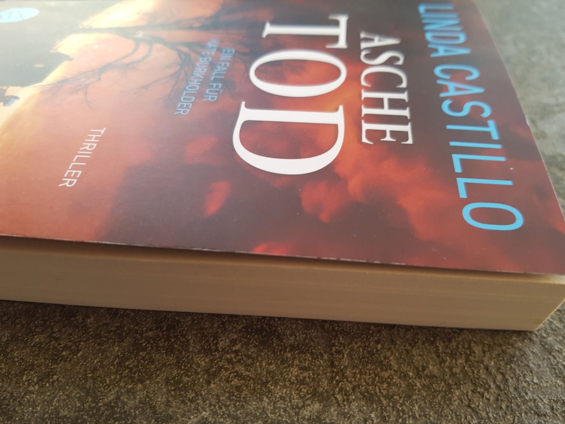 Bücher: ASCHETOD / Linda Castillo / Thriller – Gebraucht aus Dietikon von marconi07 2