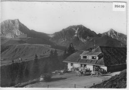 Stierenhütte mit Bürglen - Gantrisch - Auto, Kühe vaches