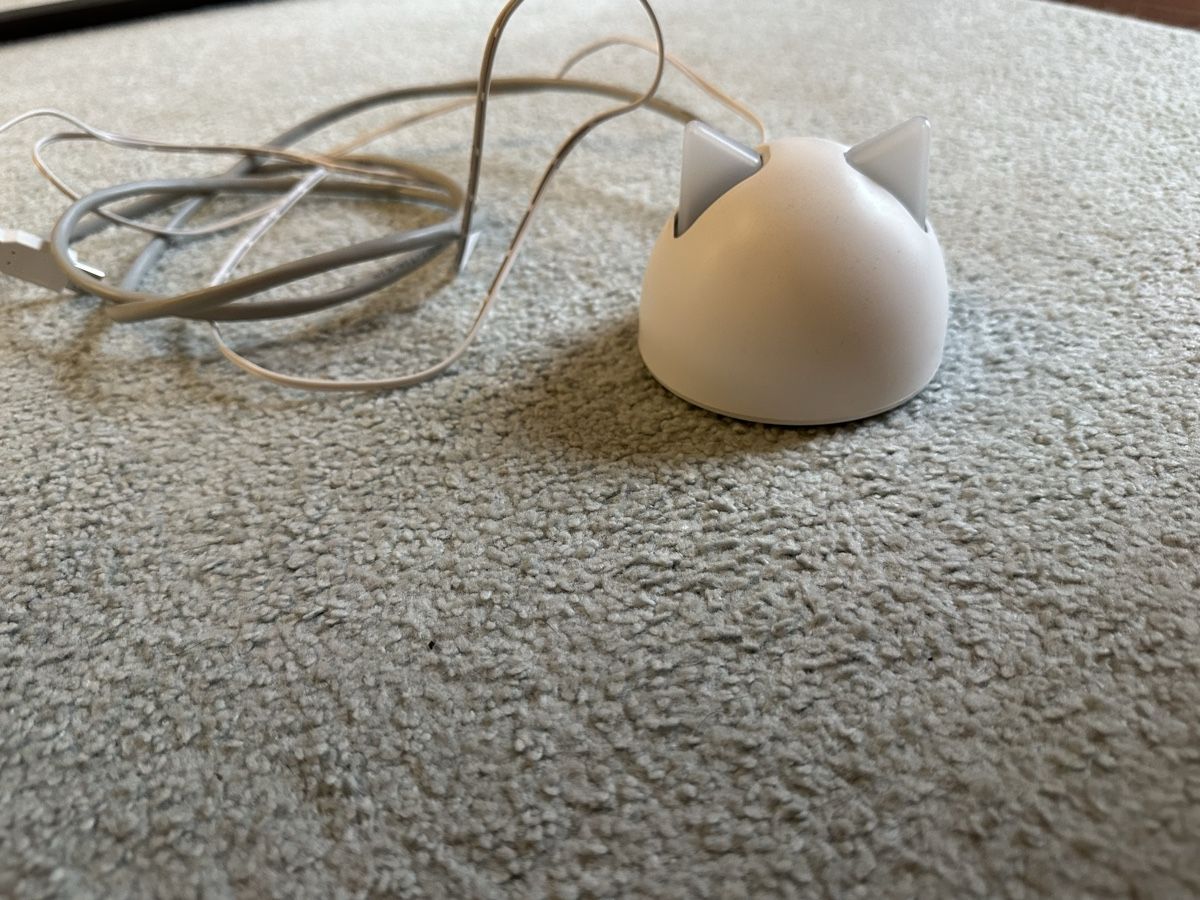 Katzenklappen: SureFlap Hub – Gebraucht aus Herrenschwanden von Lexyy