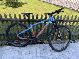 Ghost Kato Essential Mountainbike, frisch ab Service