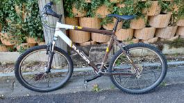 Racer Mountainbike, ideal für jedes Gelände! Top Zustand